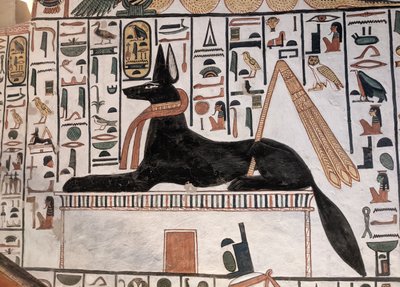 Anubis Tomb Nefertari (pintura de parede) de Egyptian 19th Dynasty