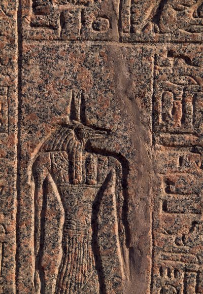 Representação de Anúbis, pormenor da inscrição e relevo de Anúbis e outro deus, sarcófago de Amenhotep, Mênfis (Lista do Património Mundial da Unesco de Egyptian 19th Dynasty
