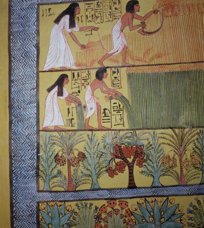 Detalhe de uma cena da colheita na parede do leste, do túmulo de Sennedjem, a vila dos trabalhadores, reino novo (pintura de parede) (veja igualmente 19829-30 & 67891) de Egyptian 19th Dynasty