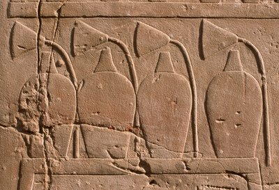 Detalhe de um relevo representando frascos e flores de lótus (calcário) de Egyptian 19th Dynasty