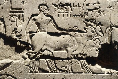 Egito Antigo, Luxor, Templo de Luxor, Pátio de Ramsés II, relevo, Novo Reino, Dinastia XIX (1290-1224 a.C.) de Egyptian 19th Dynasty