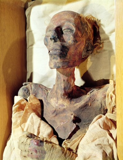 Corpo mumificado de Ramsés II (1304-1237 aC) encontrado em um túmulo em Deir al-Bahri de Egyptian 19th Dynasty