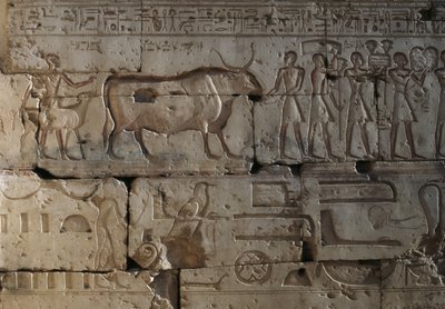 Relevo, Templo de Ramsés II, Abydos, Egipto, Civilização egípcia, Novo Reino, Dinastia XIX (foto) de Egyptian 19th Dynasty