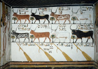 Sete vacas celestes, marido boi e quatro remos de direção, capítulo 148 do Livro dos Mortos, detalhe de afrescos na segunda câmara da Tumba de Nefertari, Vale das Rainhas, Luxor, Tebas. Civilização egípcia, Reino Novo, Dinastia XIX. de Egyptian 19th Dynasty