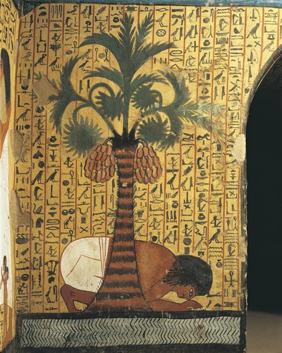 Túmulo de Pashedu, pintura mural do homem a rezar de Egyptian 19th Dynasty