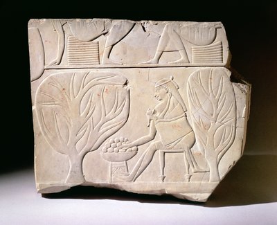 Socorro de uma mulher com criança alcançando um figo de sicômoro, do túmulo de Montuemhat, Tebas Ocidentais, período tardio de Egyptian 25th Dynasty