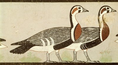 Gansos de Meidum, da tumba de Nefermaat e Atet, Reino Antigo, c.2620 aC (estuque pintado) de Egyptian 4th Dynasty