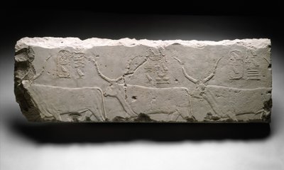 Fragmento de relevo com gado rei Khufus, c.2535 (calcário) de Egyptian 4th Dynasty