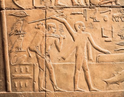 Cenas de trabalho agrícola, detalhe de Egyptian 4th Dynasty