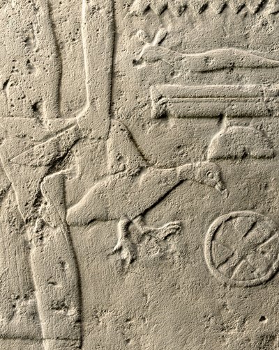 Detalhe do relevo de Pehenuka, Reino Antigo, 2465-2323 aC (calcário) (ver também 440560, 440566, 440559 e 440564) de Egyptian 5th Dynasty