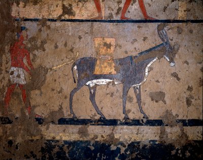 Antiquidade egípcia: "o transporte de grãos nas costas de uma mula" Pintura tempera da parede da tumba do chanceler do rei Iti (ou Ity) 2200-2000 AC. De El Ghebelen, Luxor. Turim, museu egípcio de Egyptian Egyptian