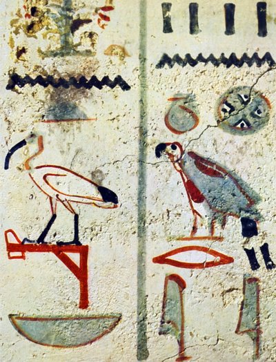 Hieróglifos egípcios de uma pintura mural de um túmulo de Egyptian Egyptian