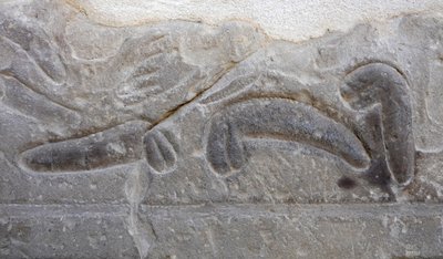 Pilhas de órgãos genitais masculinos cortados pelo inimigo, Templo de Hórus, Edfu de Egyptian Egyptian