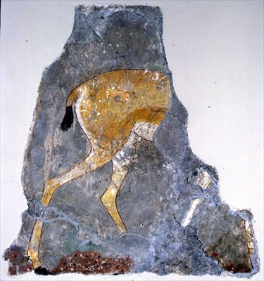 Fragmento de uma pintura de uma gazela de Egyptian Egyptian
