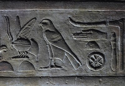 Hieróglifos, Abelha do Faraó e Falcão de Hórus, Templo de Hórus, Edfu de Egyptian Egyptian