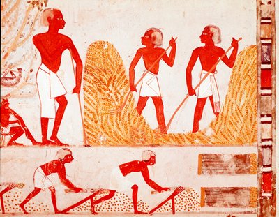 Cena da colheita no Antigo Egipto (Fresco de Egyptian Egyptian