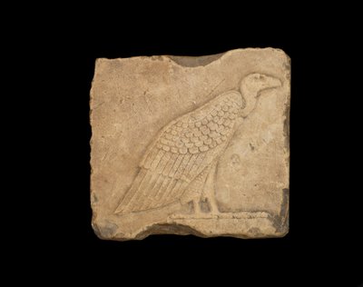 Um bloco com um abutre em pé em um rosto e uma coruja no outro lado, ambos em baixo relevo, período ptolemaico, 305-30 aC (calcário) de Egyptian Ptolemaic Period