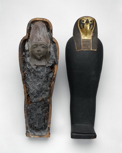 Caixão em forma de falcão com múmia de grãos, 332-30 aC (madeira pintada e dourada, grão, terra, linho e cera) de Egyptian Ptolemaic Period