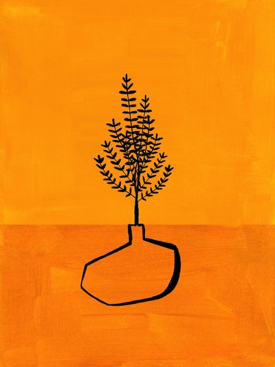 Planta minimalista laranja de Ejaaz Haniff