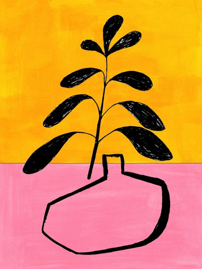 Planta em vaso com cores vivas de Ejaaz Haniff