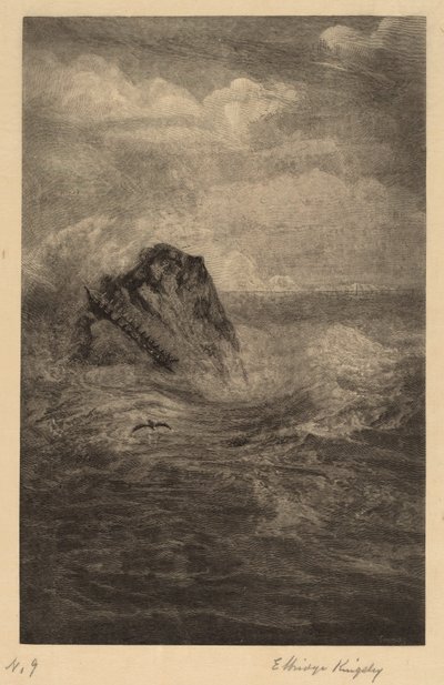 Uma pedra no mar de Elbridge Kingsley