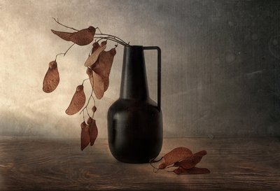 Vaso Preto com Vagens Secas de Elena Arjona