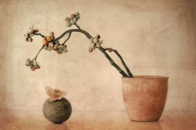 Frutos silvestres terrosos e orquídea de Elena Arjona