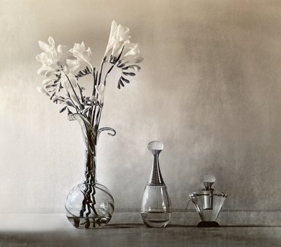 Flores Elegantes e Perfume de Elena Arjona