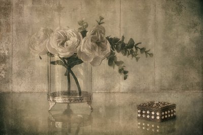 Rosa Elegante e Lembrança de Elena Arjona