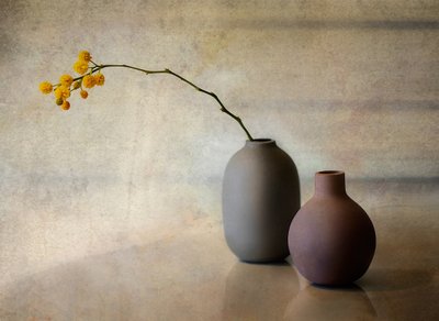 Vasos florais minimalistas de Elena Arjona