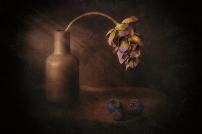 Vaso de flores «Moody» de Elena Arjona