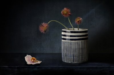 Flores espinhosas e melancólicas de Elena Arjona