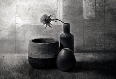 Embarcações «Moody Thistle» de Elena Arjona