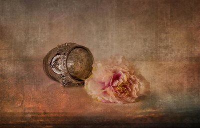 Peônia Rosa e Lembrança de Elena Arjona