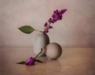Vasos florais serenos de Elena Arjona