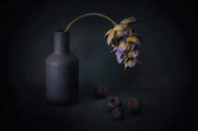 Flores e bagas à sombra de Elena Arjona