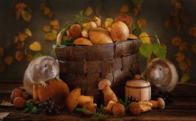 Amigos dos cogumelos de outono de Eleonora Grigorjeva