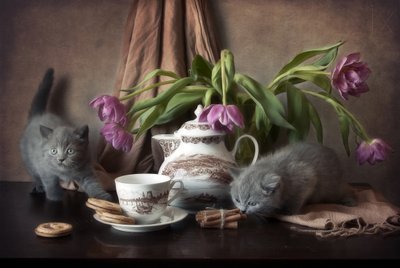 Hora do Chá com Gatinhos Acolhedores de Eleonora Grigorjeva