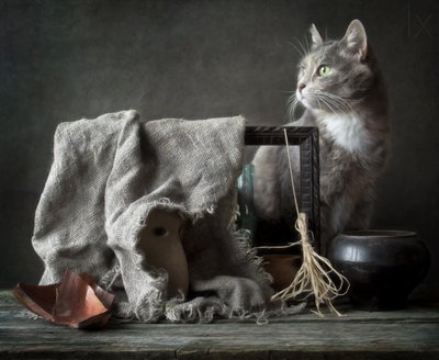Natureza morta vintage com gato de Eleonora Grigorjeva