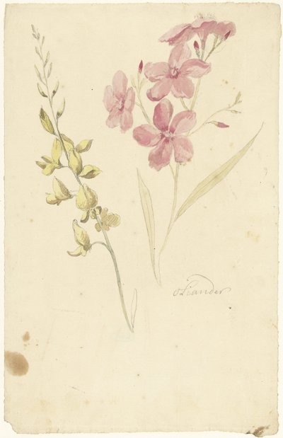 Oleandro e freio de Elias van Nijmegen