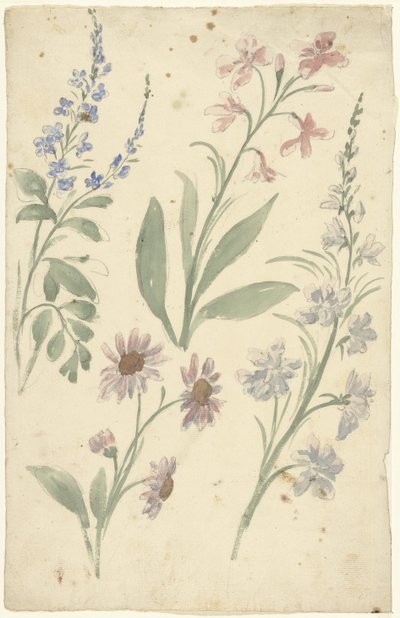 Quatro estudos de flores cor de rosa e azuis de Elias van Nijmegen