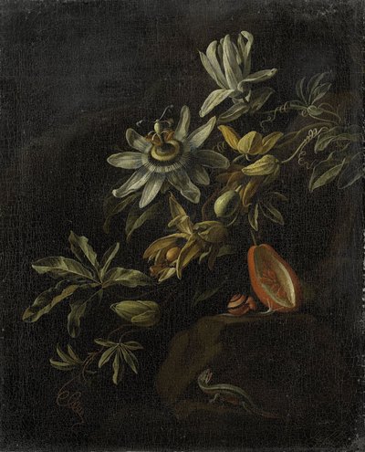 Natureza morta com flores de maracujá de Elias van den Broeck