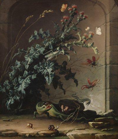 Nicho de pedra com cardo, lagarto e insetos, 1690 de Elias van den Broeck