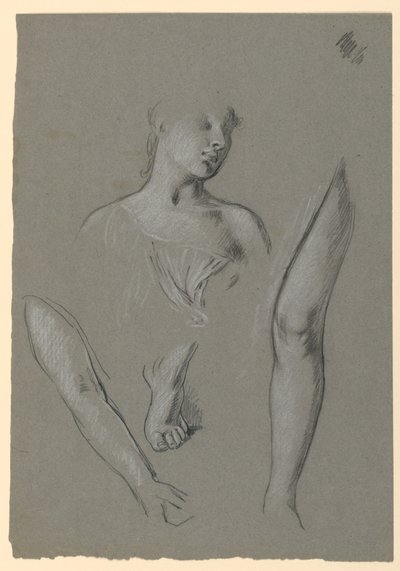 detalhes de estudos de figuras de Elihu Vedder