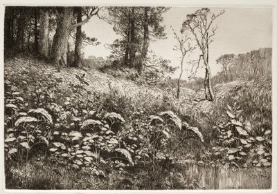 Uma tarde de verão de Elis F. Miller