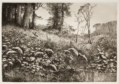 Uma tarde de verão, 1882. de Elis F. Miller