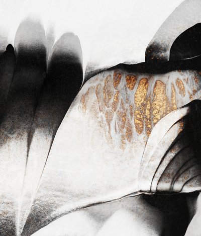 Contraste Fluid Gold de Elisabeth Fredriksson