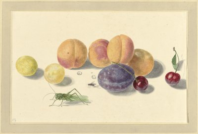 Pêssegos, ameixas, cerejas e dois insetos de Elisabeth Geertruida van de Kasteele