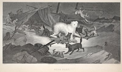 Caça ao urso, ilustração de "A segunda expedição Grinnell em busca de Sir John Franklin ...", 1856 de Elisha Kane