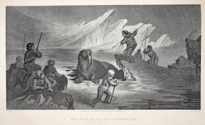 Morsa Hunt off Pikantlik, ilustração de &39;A segunda expedição de Grinnell em busca de Sir John Franklin ...&39;, 1856 de Elisha Kane